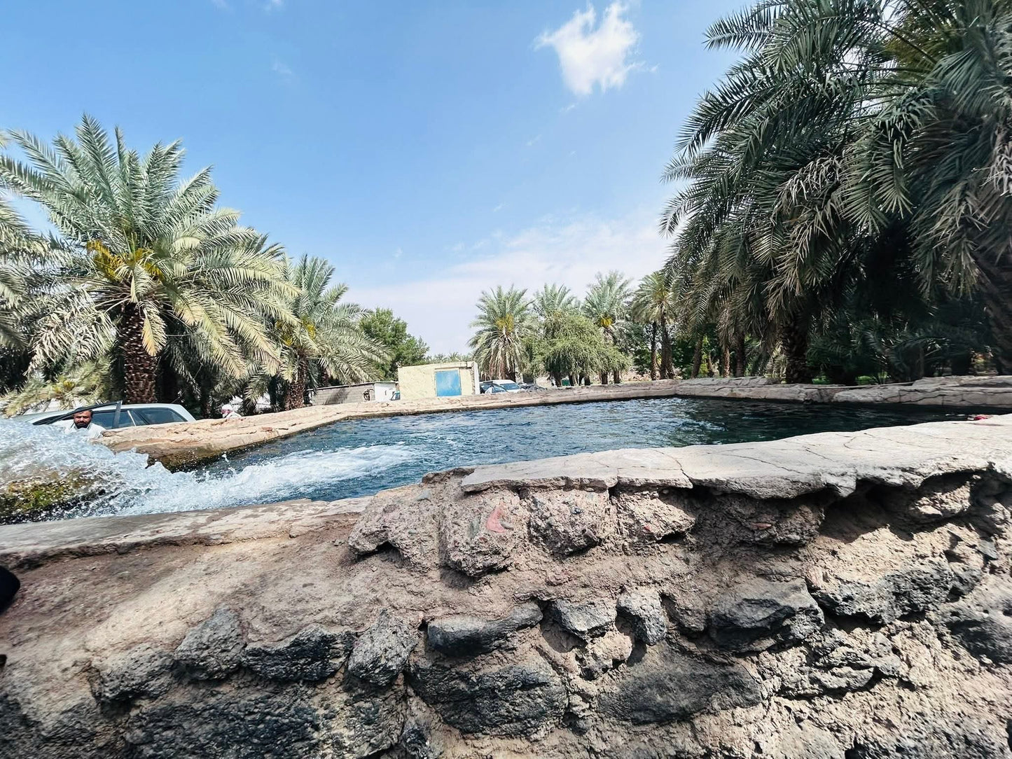 🌴 Ajwa Madina KSA