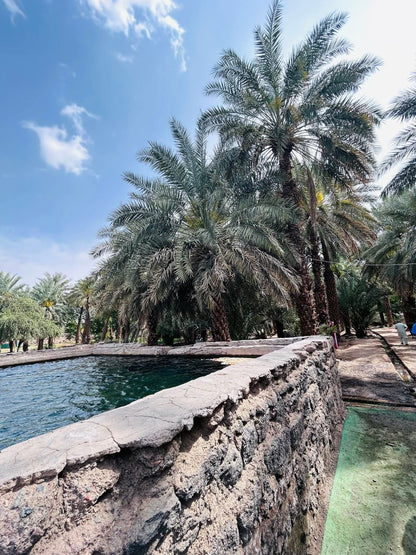 🌴 Ajwa Madina KSA